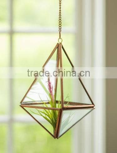Succulent polygon Hanging Prism Terrarium