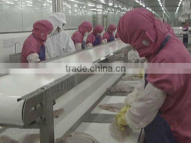 Frozen Silver Pomfret