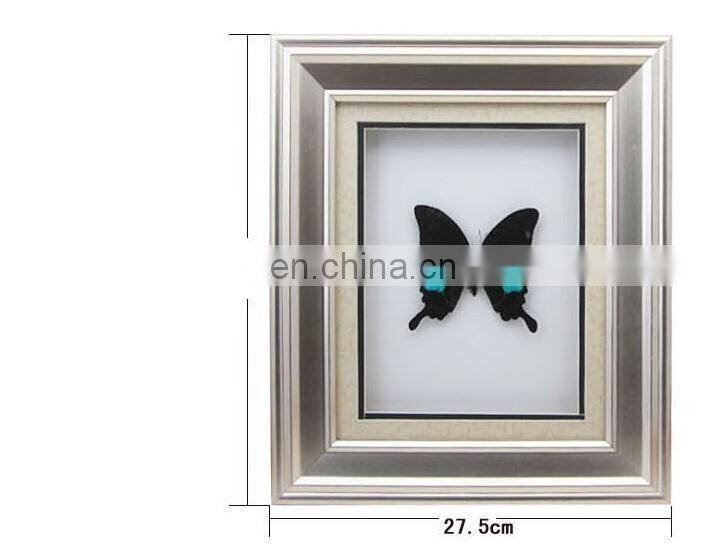 Nature real butterfly frame home decoration craft