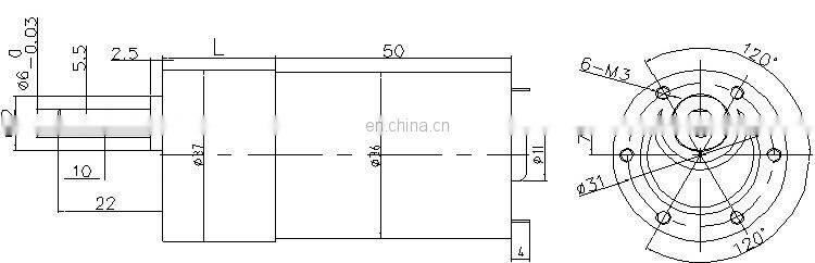 S215 24V 12 Volt China Supplier DC Spur Gear Motor 31MM Mini Gear Box Electric Motor 12RPM High Torque Reversible