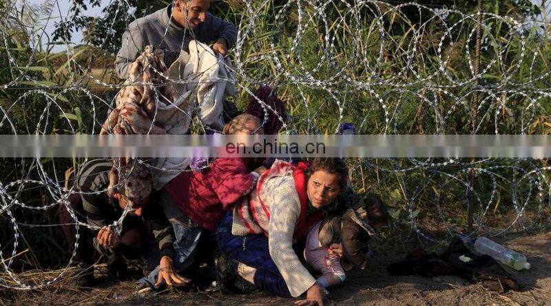 Galvanized Razor Barbed wire /Concertina Razor Barbed wire /Concertina Razor Barbed Wire fence With Pallet