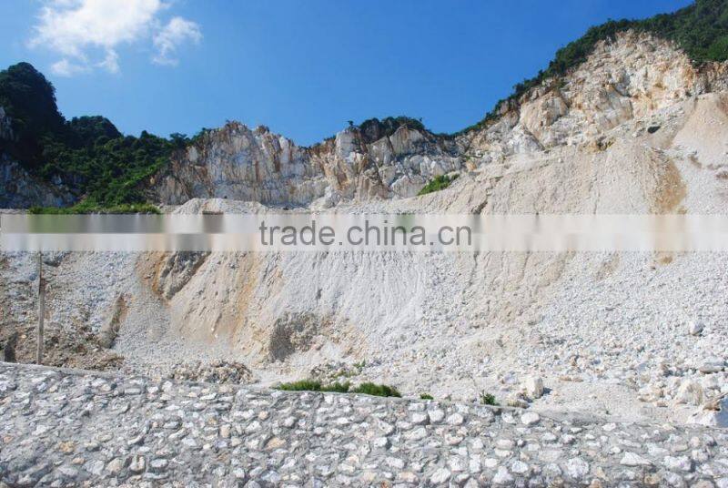 Super fine CaCO3 powder, limestone 99% CaCO3 for paint, plastics, rubber, paper making//s/