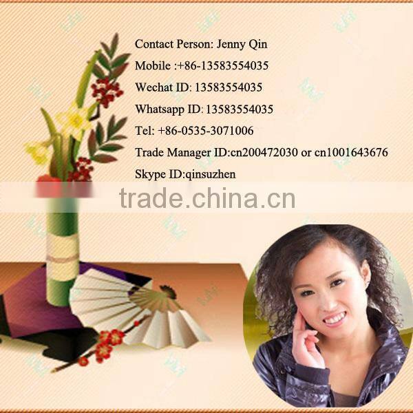Apple Pear Mango Guava Grape Fruit Protection Waterproof Custom Made Paper Bags