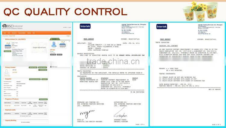 New arrival Jardin theme metal water bucket with hot selling