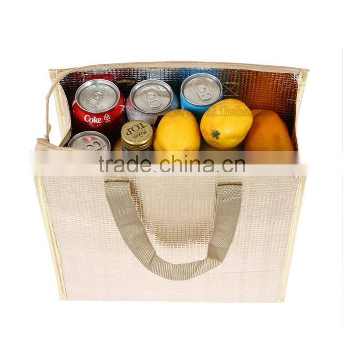 Custom Logo Exclusive Packing Playtex Cooler Bag
