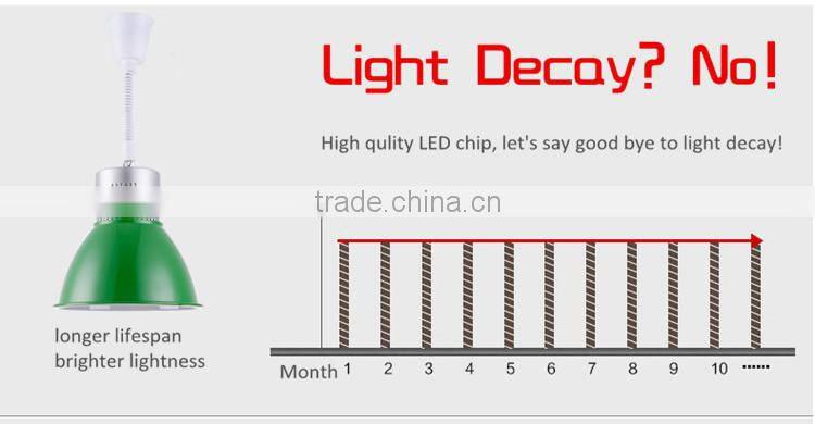 CE Rohs LED Fresh Meat Vegetable Fruit Lights 30W Hanging Lighting for Food