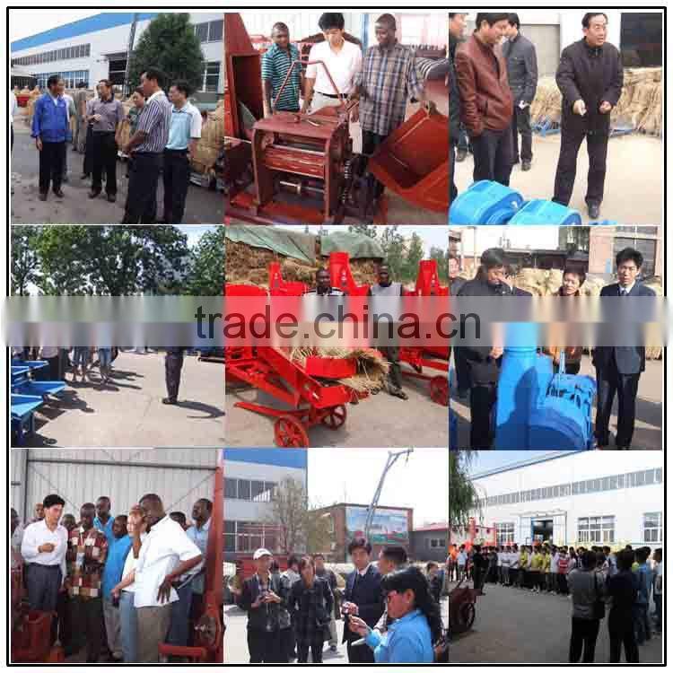 Green Grass Fodder Chopper 400KG/Hr