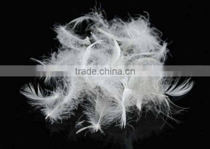 Good quality 2-4cm Washed White Duck Feather