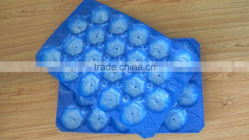 Divided Perforated Pad For Fruit &Vegetable