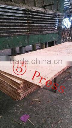 LVL scaffold plank