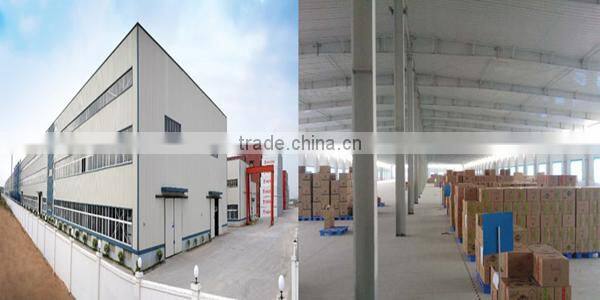 EVA Foam Martial Arts Mat Wrestling Tatami Mat