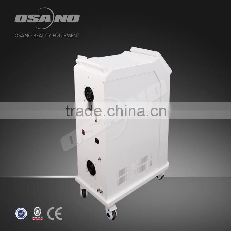 Popular Laser Therapy Laser Hair Remocal Permanent Salon Equipment