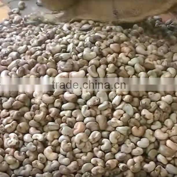 Raw Dried Cashew Nut/Cashew nuts in Africa