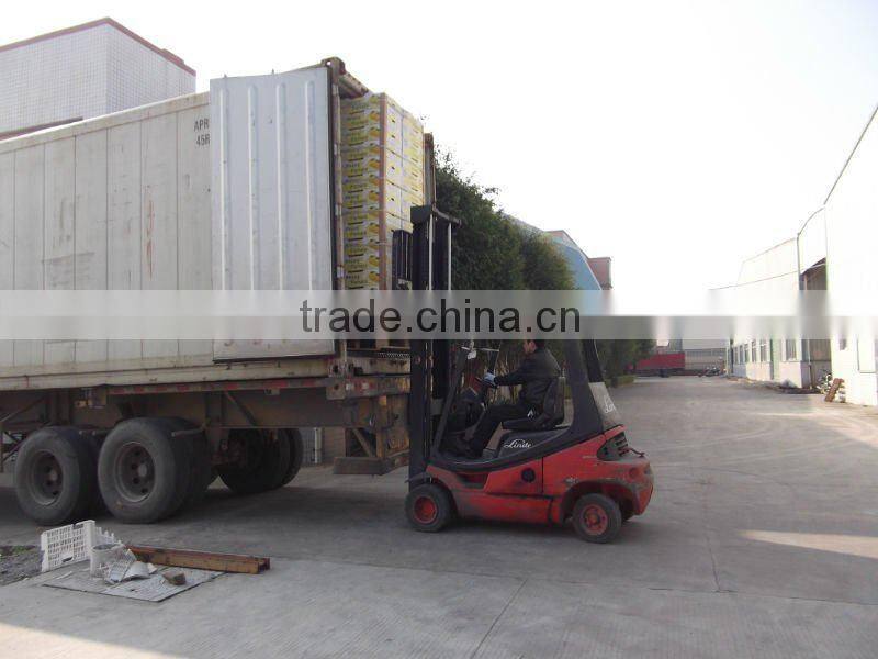 Chinese New Fresh High quality Shatian pomelo