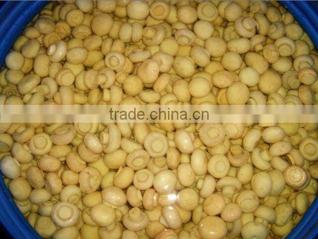 vinegar mushrooms in brine