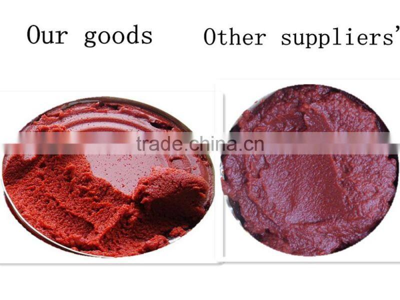 70g Sachet Tomato Paste