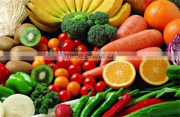 High quality fruit and vegetable dehydrator 0086-15037185761