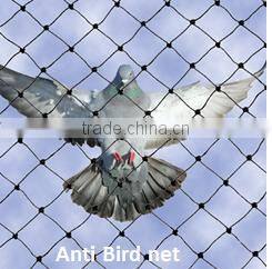 knotless anti bird protection safety net/100% HDPE UV Agricultural Anti Bird Net(Guangzhou Factory)