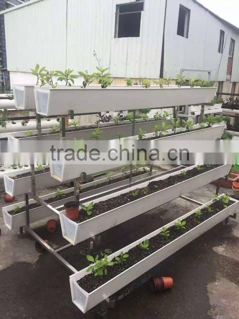 hydroponic vertical system for lettuce