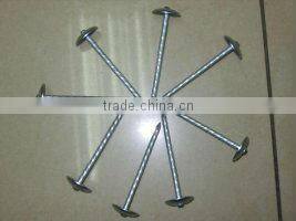 2.5" Umbrella Roofing Nails