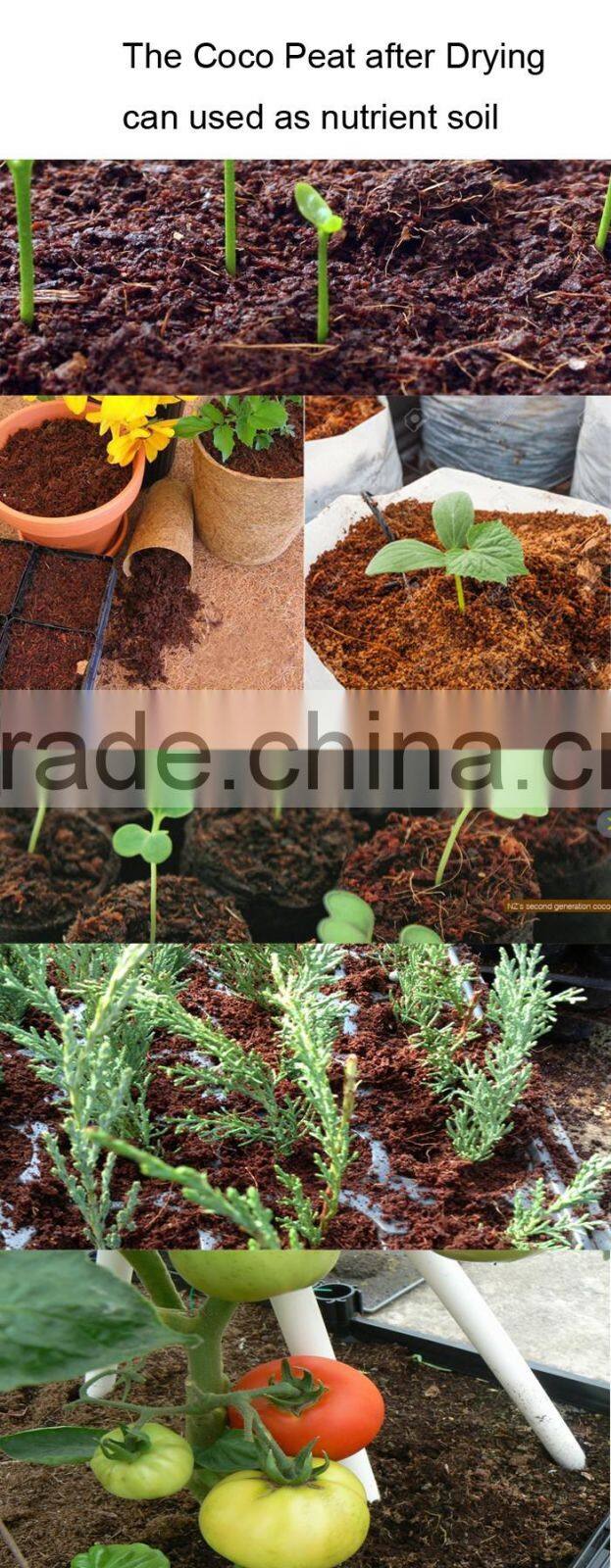 Popular in Southeast Asia Oil palm fibre dryer/coco pith drying machine supplier