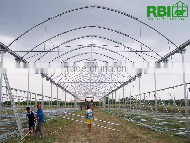Vegetable commercial film low cost greenhouse multi span high quality for agriculture