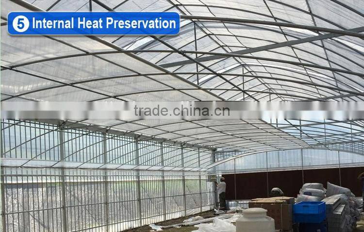 Commercial hydroponic systems for vegetable greenhouse