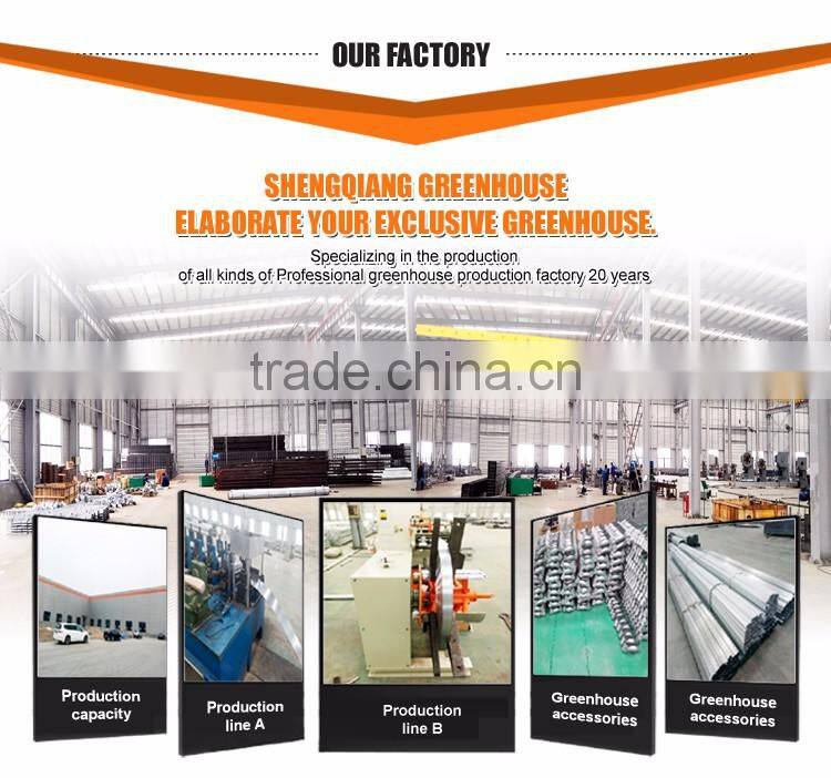 China supplier multi-span plastic film agricultural greenhouse for sale
