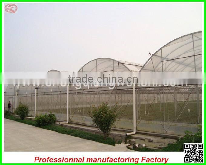 Hot sale 7.2m single/multi-span agricultural plastic green houses with good price