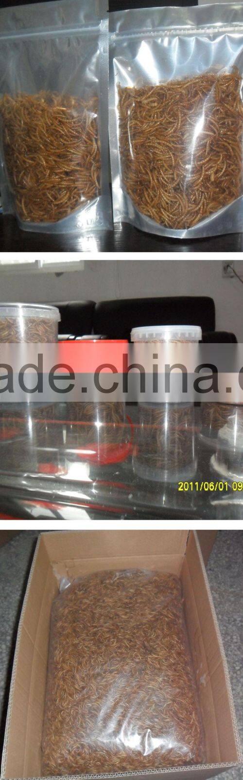 FDA certification dried mealworms for sale