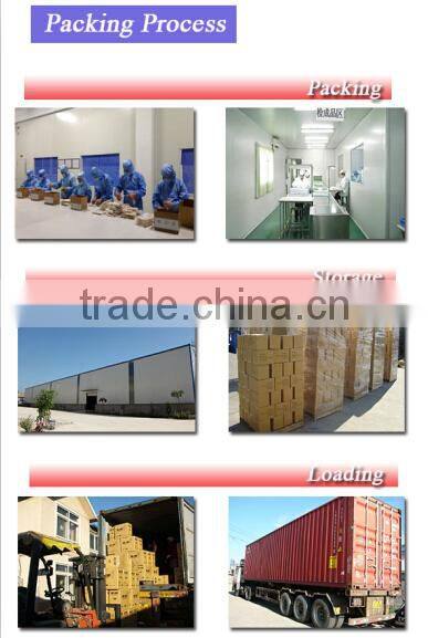 High Quality Wholesale Disposable Wooden Tongue Depressor