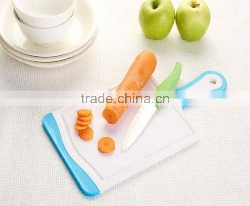 High Quality Antibacterial Plastic Cutting Board with handle