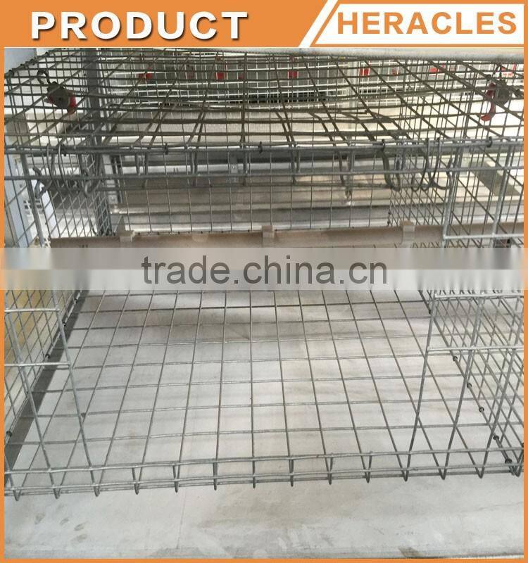Hot selling Asia chicken cage for sale automatic chicken layer cage for sale in philippines
