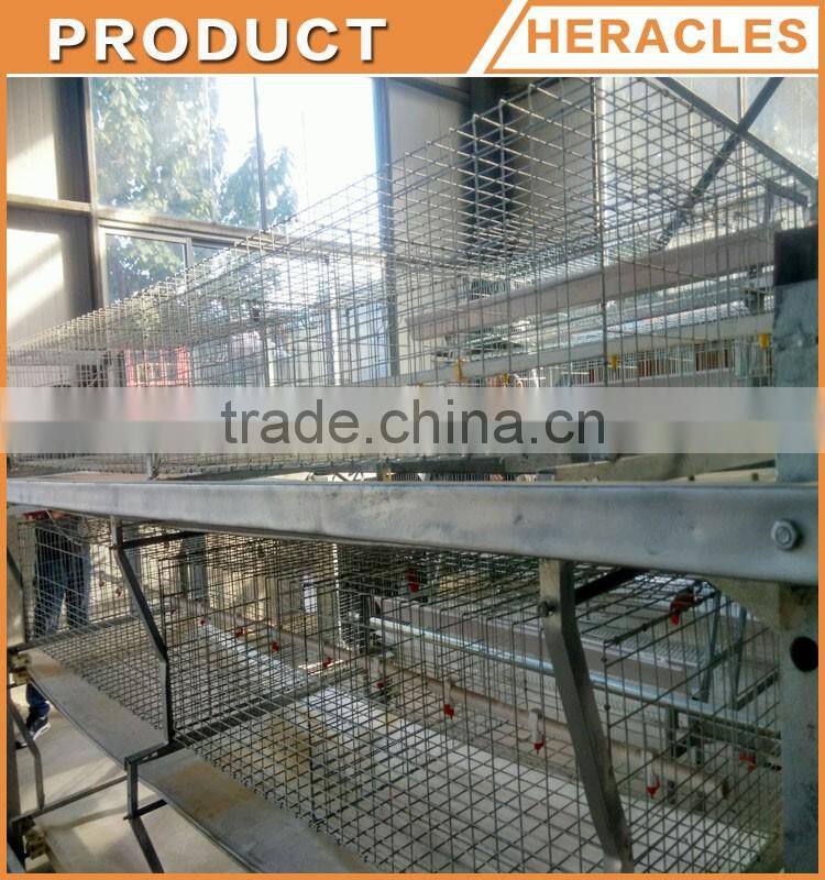 Trade assurance factory price H type chicken layer cage for broiler
