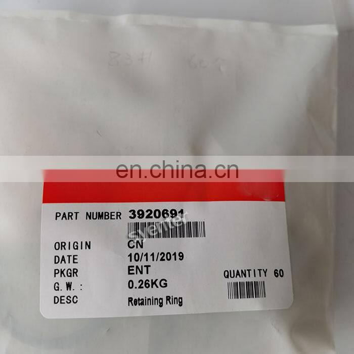 6CT8.3L Diesel Engine Piston Retaining Ring 3920691 3901706