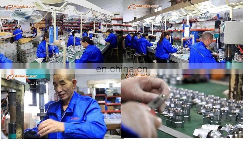 BT4009 high pressure gate valve