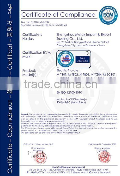 China Big wheel adult electric drift tricycle for sale