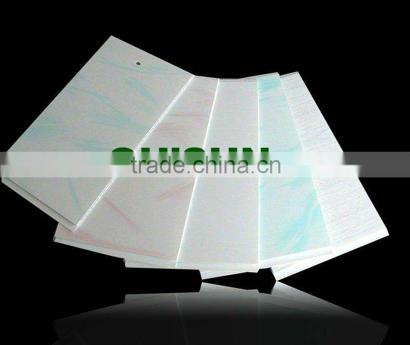 2012 Haining The Newest Ceiling Material