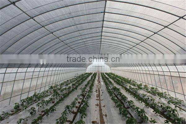 high tunnel greenhouse tunnel drivhus