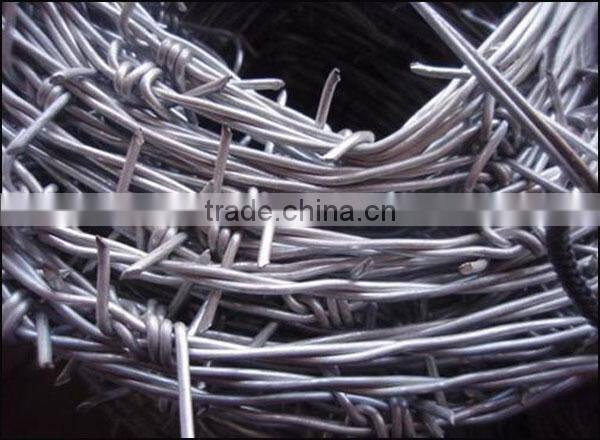 galvanized barbed wire