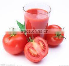 shanghai passion fruit extraction and concentrate machine for the instant coffee powder processing