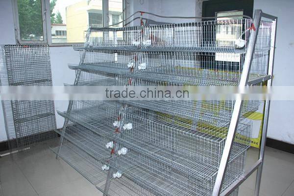 hot selling and good quality wire mesh quail cage