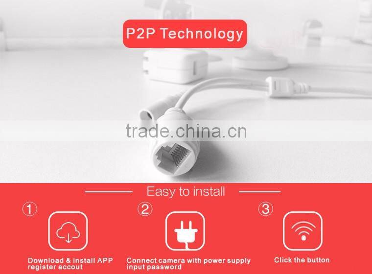 Hot Sale Mini CCTV HDD Digital IP Camera ip66 camera