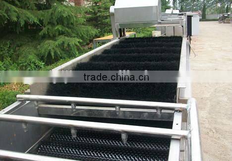 Hot sale Potato washing machine for washing manufacture