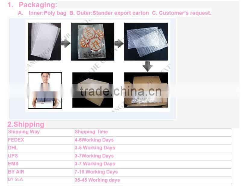 HC-2148-1 Hechun Sewed Sequined Bead Crochet Lace Applique for Clothes