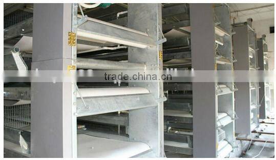 1.2mm manure conveyor belts poultry farm cages