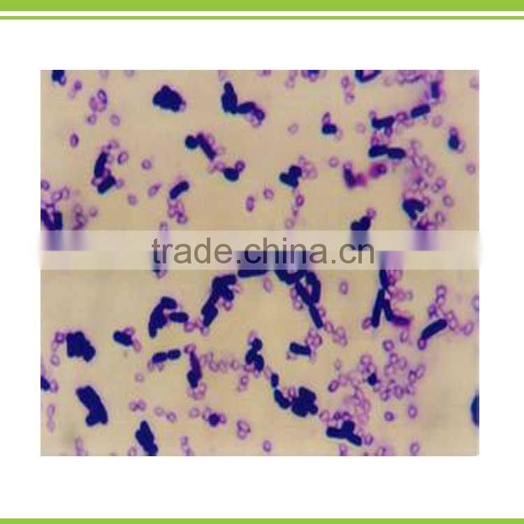 liquid bio organic humate acid foliar fertilizer with trance element and organic matter