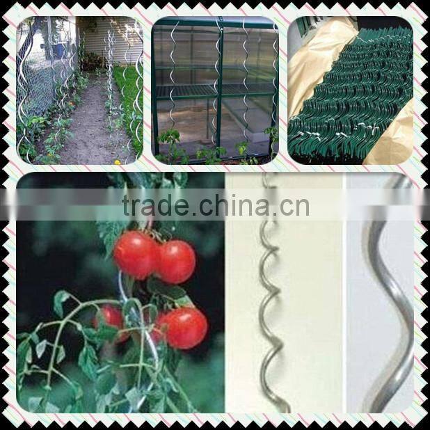 tomato spiral wire/tomato spiral stakes