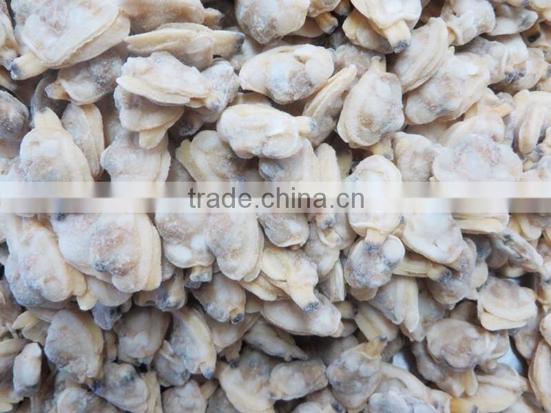 Quick frozen clam seafood