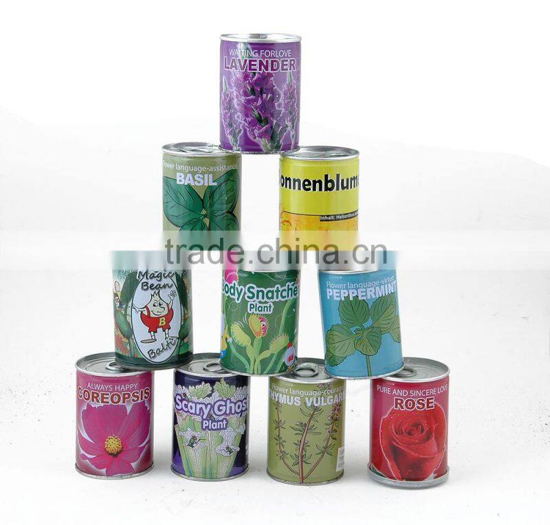 novelty gifts magic bean with logo, make magic beans, message growing bean